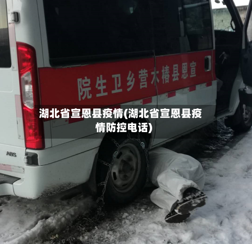 湖北省宣恩县疫情(湖北省宣恩县疫情防控电话)-第2张图片