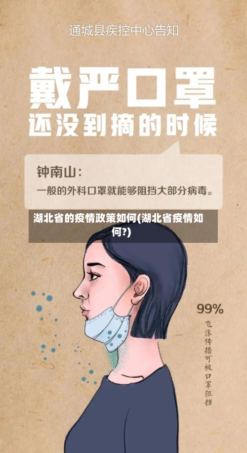 湖北省的疫情政策如何(湖北省疫情如何?)-第2张图片