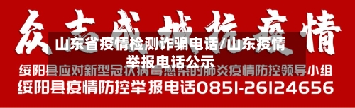 山东省疫情检测诈骗电话/山东疫情举报电话公示-第3张图片