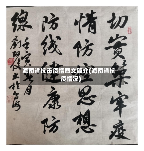 海南省抗击疫情图文简介(海南省抗疫情况)-第2张图片