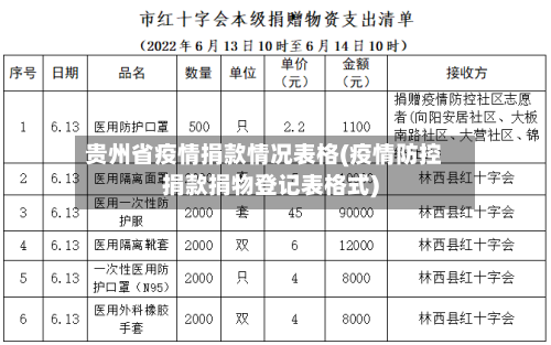 贵州省疫情捐款情况表格(疫情防控捐款捐物登记表格式)-第3张图片
