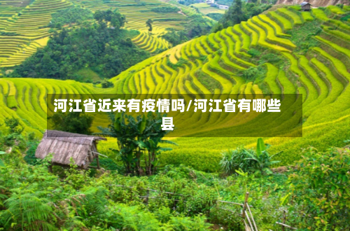 河江省近来有疫情吗/河江省有哪些县-第3张图片