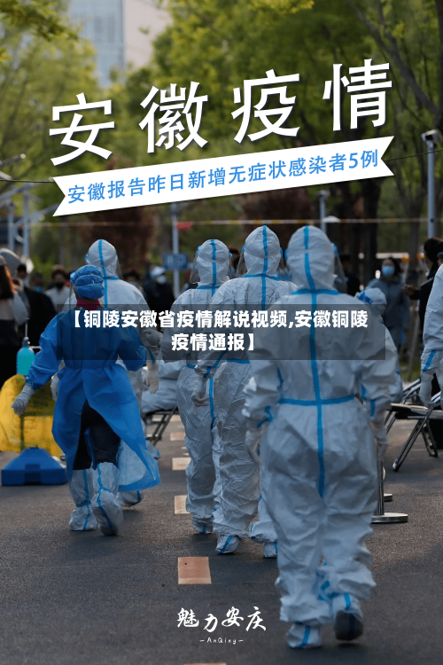 【铜陵安徽省疫情解说视频,安徽铜陵疫情通报】-第2张图片