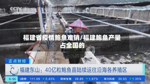 福建省疫情鲍鱼难销/福建鲍鱼产量占全国的-第3张图片