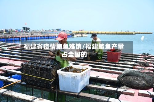 福建省疫情鲍鱼难销/福建鲍鱼产量占全国的-第1张图片
