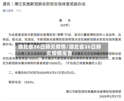 湖北省26日肺炎疫情/湖北省26日肺炎疫情报告-第2张图片