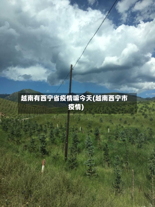 越南有西宁省疫情嘛今天(越南西宁市疫情)-第1张图片
