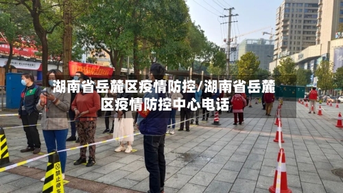 湖南省岳麓区疫情防控/湖南省岳麓区疫情防控中心电话-第1张图片