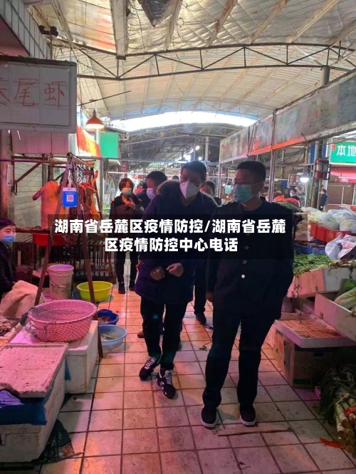 湖南省岳麓区疫情防控/湖南省岳麓区疫情防控中心电话-第2张图片