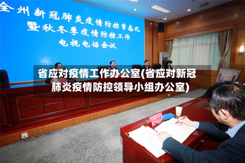 省应对疫情工作办公室(省应对新冠肺炎疫情防控领导小组办公室)-第1张图片