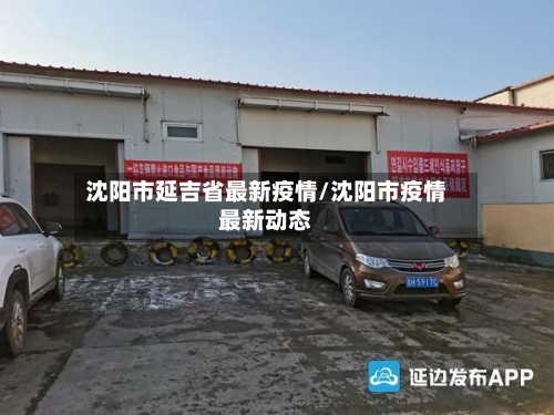 沈阳市延吉省最新疫情/沈阳市疫情最新动态-第3张图片