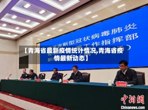 【青海省最新疫情统计情况,青海省疫情最新动态】-第2张图片