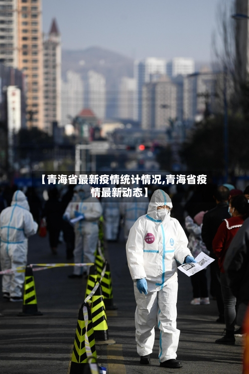 【青海省最新疫情统计情况,青海省疫情最新动态】-第3张图片