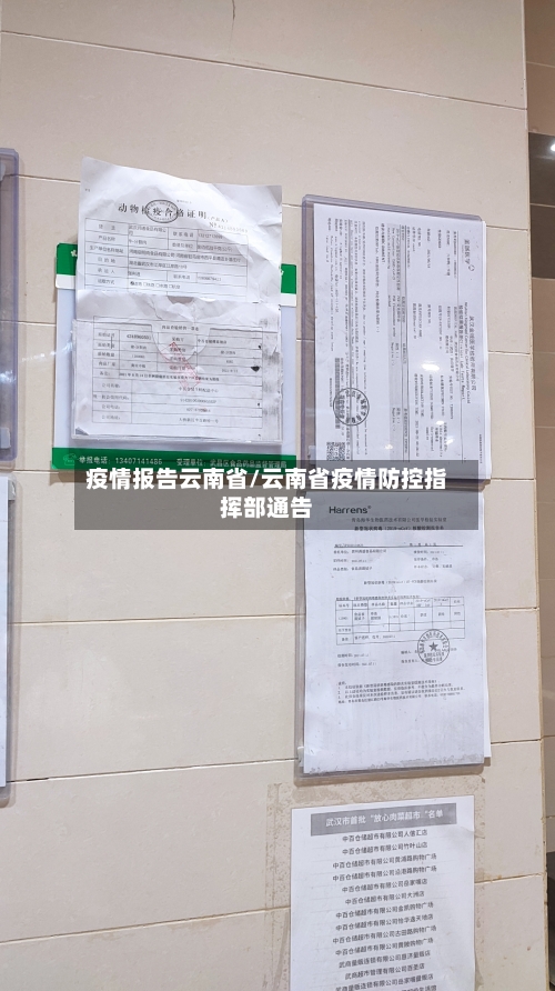 疫情报告云南省/云南省疫情防控指挥部通告-第2张图片