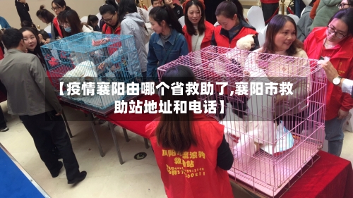 【疫情襄阳由哪个省救助了,襄阳市救助站地址和电话】-第3张图片