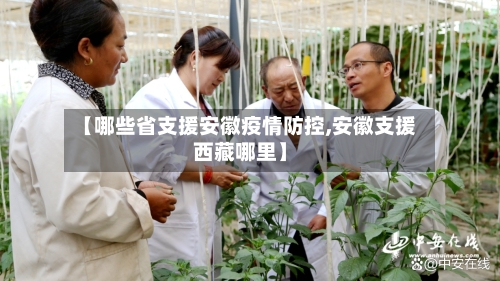 【哪些省支援安徽疫情防控,安徽支援西藏哪里】-第3张图片