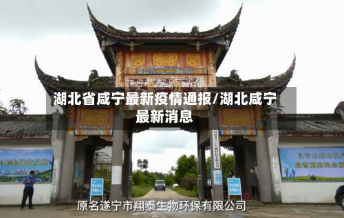 湖北省咸宁最新疫情通报/湖北咸宁最新消息-第1张图片