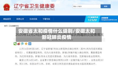 安徽省太和疫情什么级别/安徽太和新冠肺炎疫情-第2张图片