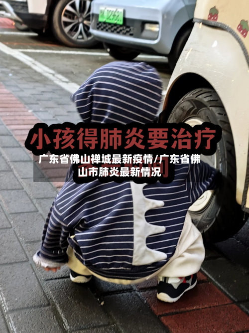 广东省佛山禅城最新疫情/广东省佛山市肺炎最新情况-第1张图片