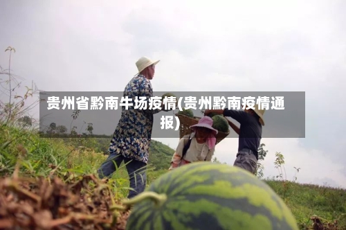 贵州省黔南牛场疫情(贵州黔南疫情通报)-第3张图片