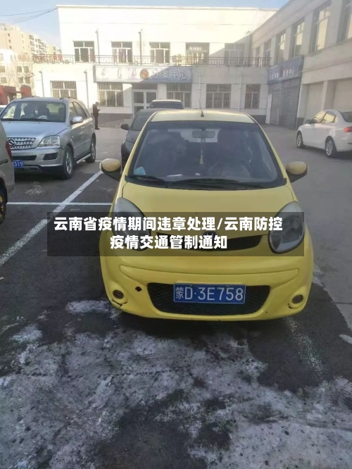 云南省疫情期间违章处理/云南防控疫情交通管制通知-第1张图片