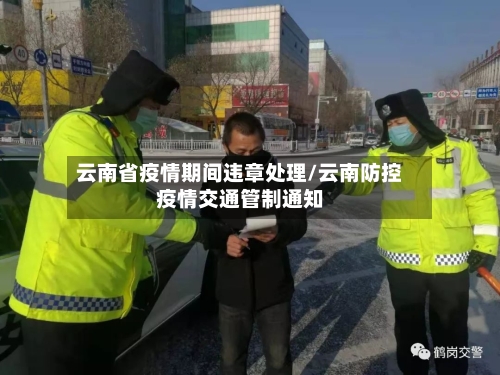 云南省疫情期间违章处理/云南防控疫情交通管制通知-第2张图片