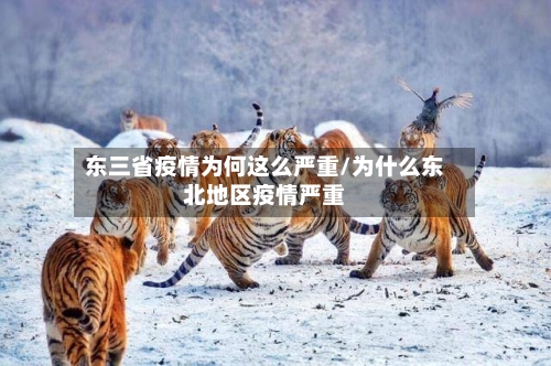 东三省疫情为何这么严重/为什么东北地区疫情严重-第1张图片