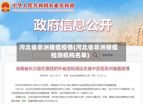 河北省非洲猪瘟疫情(河北省非洲猪瘟检测机构名单)-第3张图片