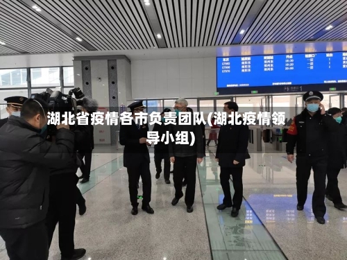 湖北省疫情各市负责团队(湖北疫情领导小组)-第1张图片