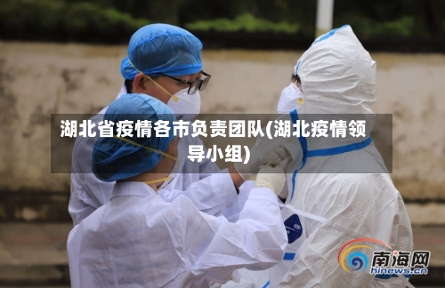 湖北省疫情各市负责团队(湖北疫情领导小组)-第2张图片