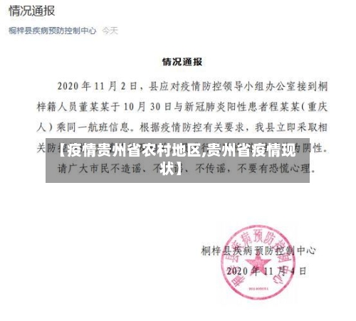 【疫情贵州省农村地区,贵州省疫情现状】-第1张图片