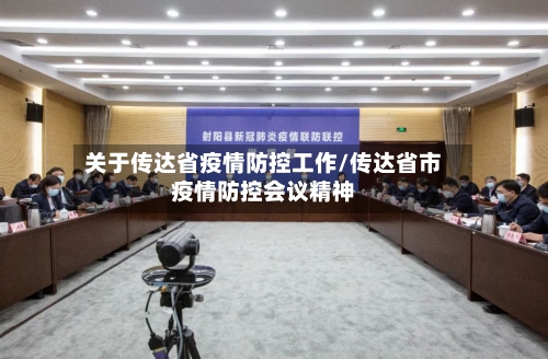 关于传达省疫情防控工作/传达省市疫情防控会议精神-第2张图片