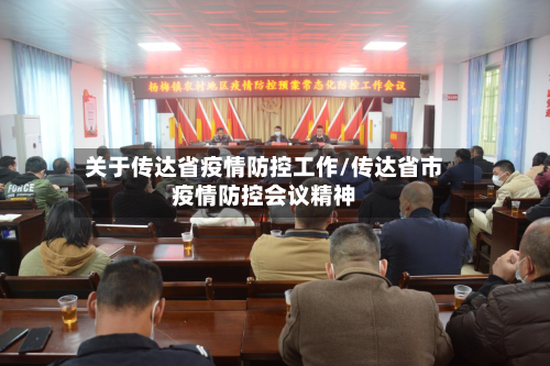 关于传达省疫情防控工作/传达省市疫情防控会议精神-第1张图片
