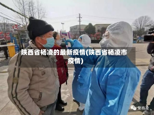 陕西省杨凌的最新疫情(陕西省杨凌市疫情)-第3张图片