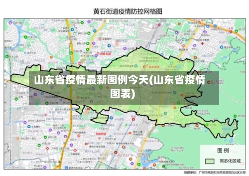山东省疫情最新图例今天(山东省疫情图表)-第1张图片