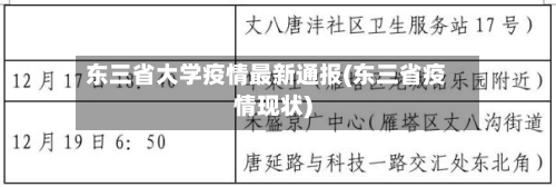 东三省大学疫情最新通报(东三省疫情现状)-第2张图片