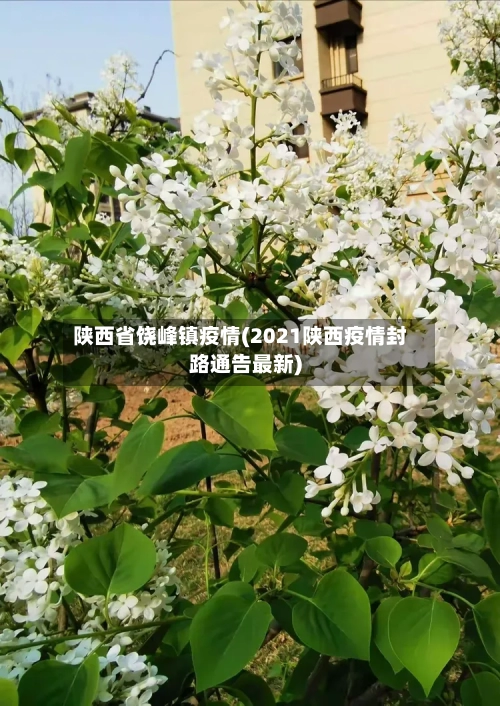 陕西省饶峰镇疫情(2021陕西疫情封路通告最新)-第2张图片