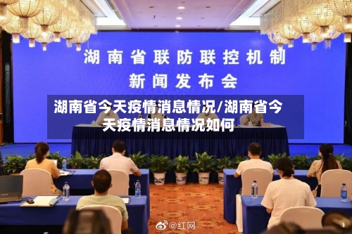 湖南省今天疫情消息情况/湖南省今天疫情消息情况如何-第3张图片