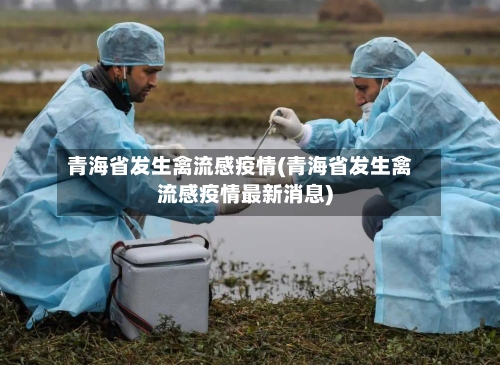 青海省发生禽流感疫情(青海省发生禽流感疫情最新消息)-第2张图片