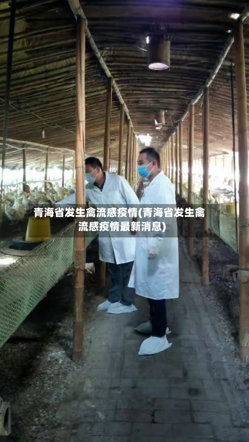 青海省发生禽流感疫情(青海省发生禽流感疫情最新消息)-第1张图片