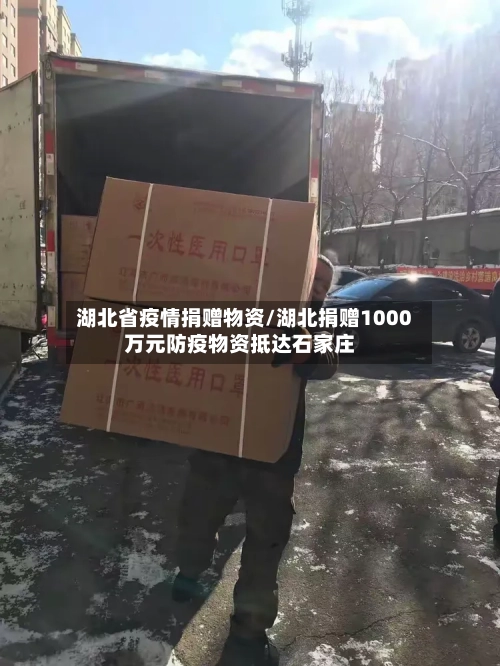 湖北省疫情捐赠物资/湖北捐赠1000万元防疫物资抵达石家庄-第1张图片