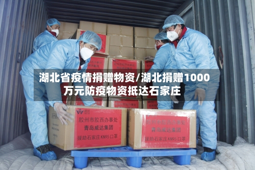 湖北省疫情捐赠物资/湖北捐赠1000万元防疫物资抵达石家庄-第2张图片