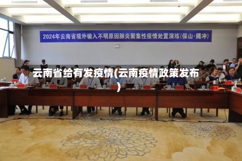 云南省给有发疫情(云南疫情政策发布)-第2张图片