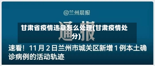 甘肃省疫情违章怎么处理(甘肃疫情处分)-第2张图片