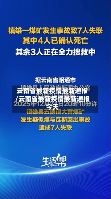 云南省最新疫情最新通报/云南省最新疫情最新通报今天-第3张图片