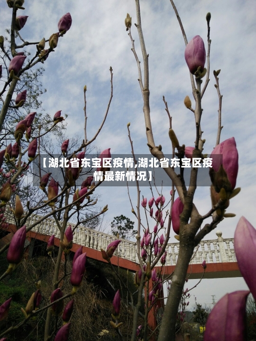 【湖北省东宝区疫情,湖北省东宝区疫情最新情况】-第1张图片