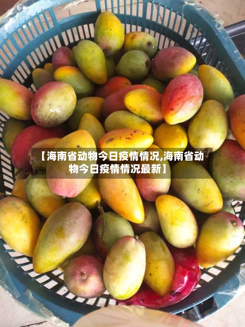 【海南省动物今日疫情情况,海南省动物今日疫情情况最新】-第2张图片