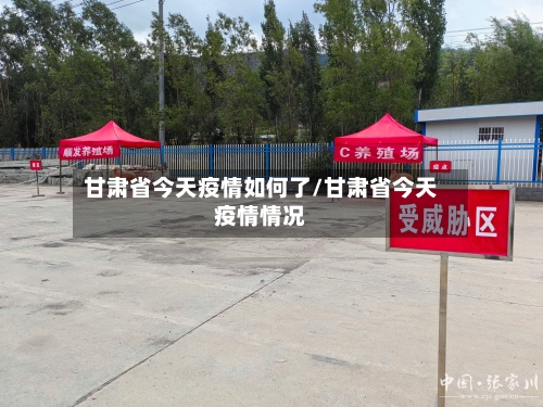 甘肃省今天疫情如何了/甘肃省今天疫情情况-第2张图片