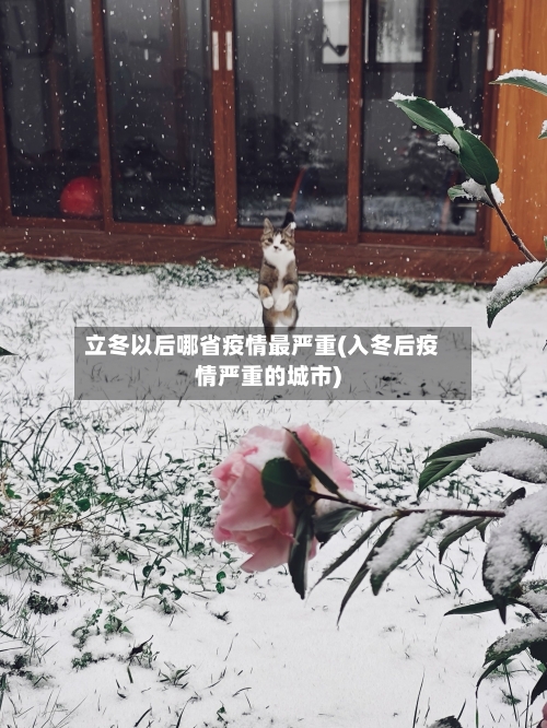 立冬以后哪省疫情最严重(入冬后疫情严重的城市)-第1张图片
