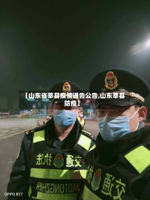 【山东省莘县疫情通告公告,山东莘县防疫】-第1张图片